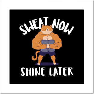 sweat now shine later Posters and Art